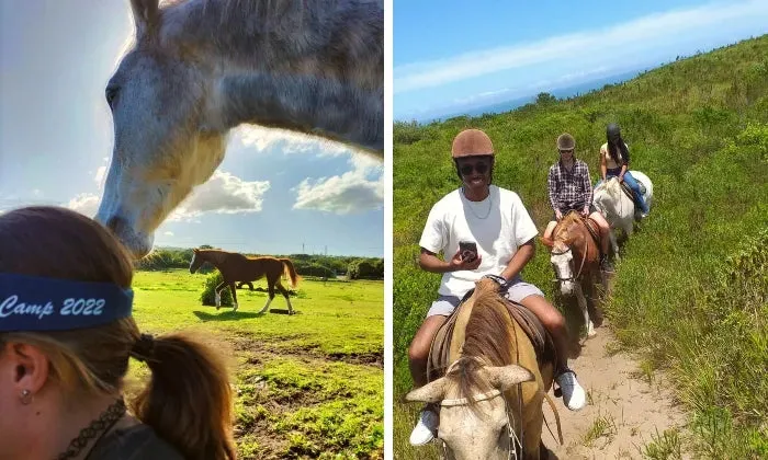 1-Hour scenic trail horse ride