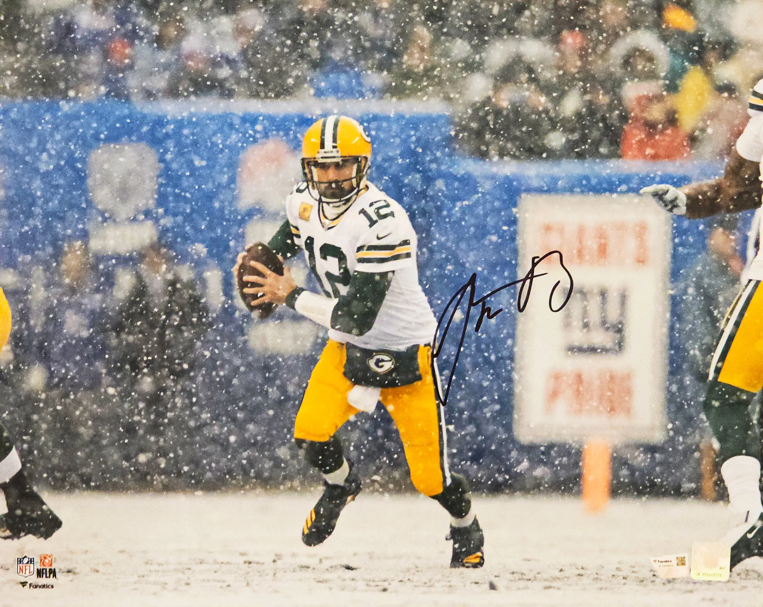 Aaron Rodgers Autographed 16x20 Photo Green Bay Packers Snow Game Fanatics Holo Stock #218712