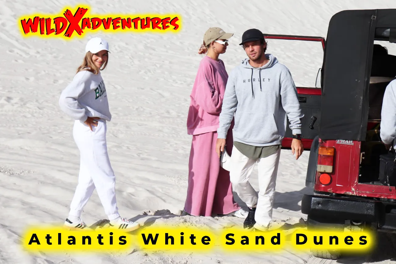 Activity Combo: Jeep 4x4 Tour and Classic Sandboarding for 1, 2, 4 or 6