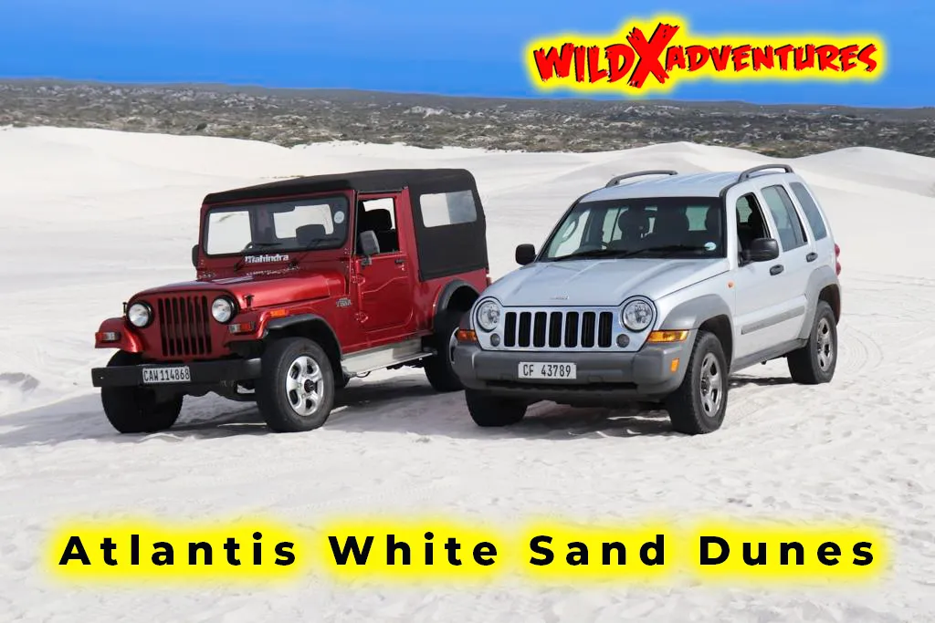 Activity Combo: Jeep 4x4 Tour and Classic Sandboarding for 1, 2, 4 or 6