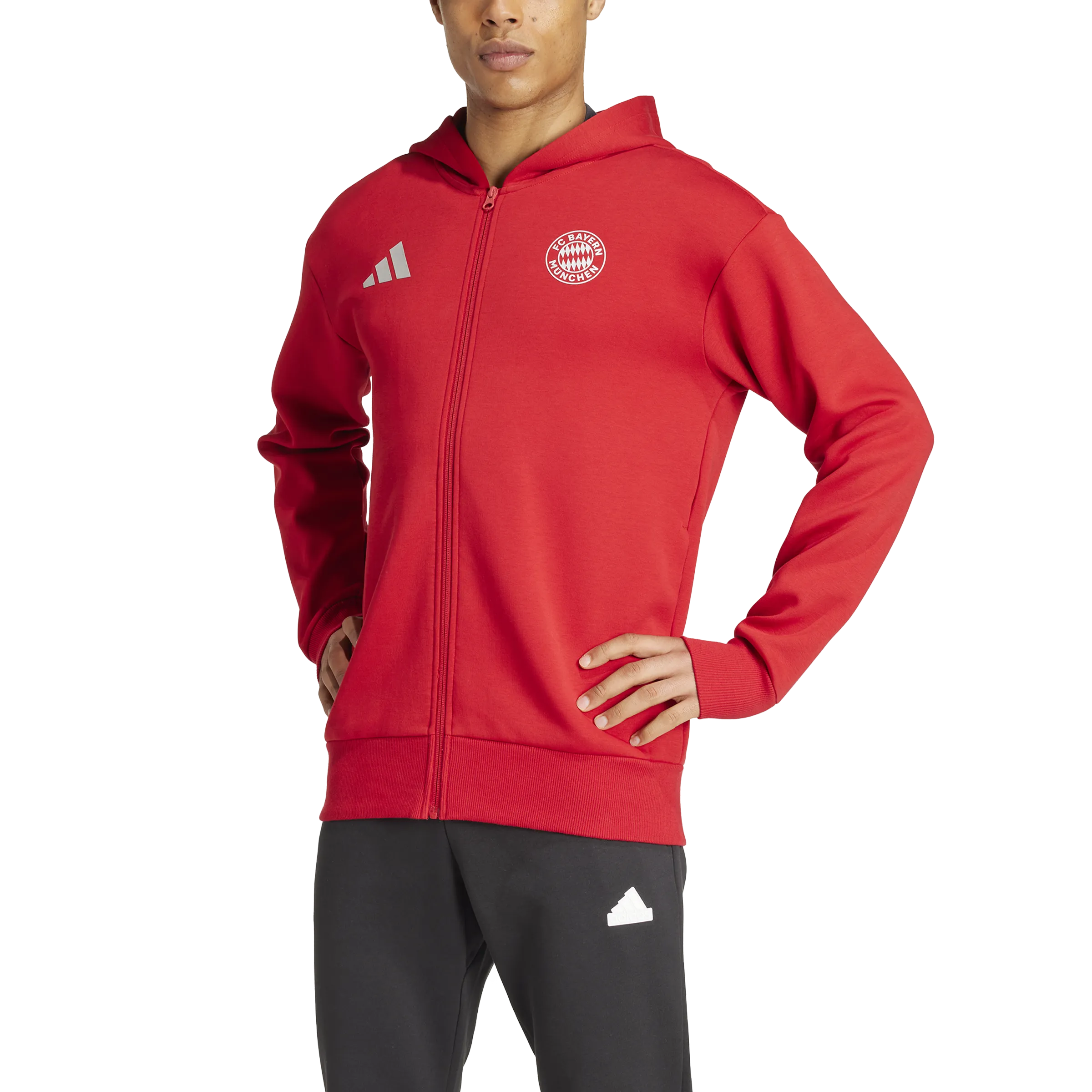 Adidas FC Bayern 2024/25 Home Anthem Jacket