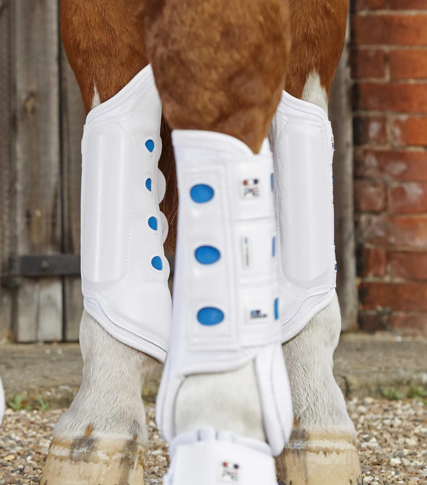 Air Cooled Original Eventing Boots White Hind