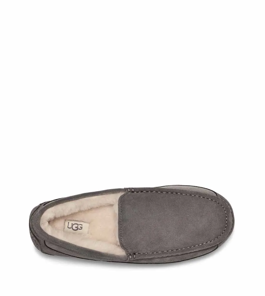 Ascot in Grey by UGG