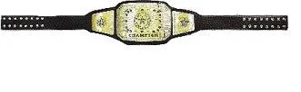 Champion Award Belt