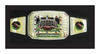 Champion Award Belt