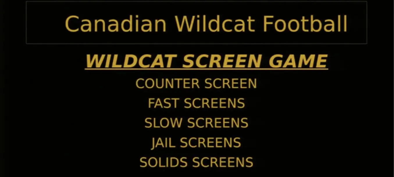 Chris Koetting: Wildcat Screen Game