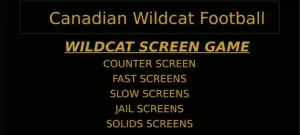 Chris Koetting: Wildcat Screen Game