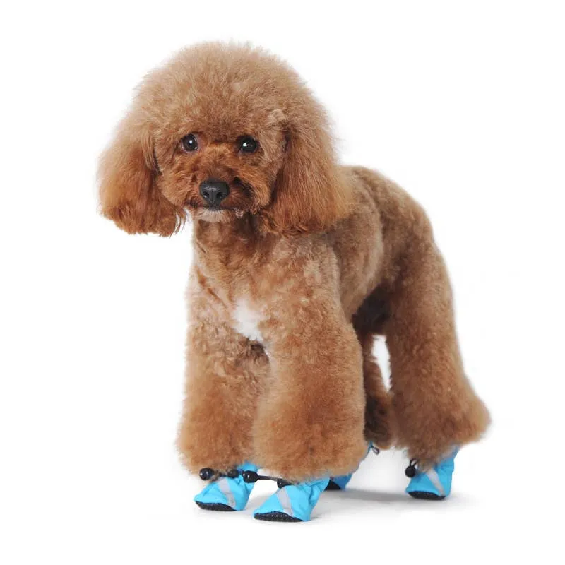 Dogo Pet Slip-ON Paws Dog Shoes