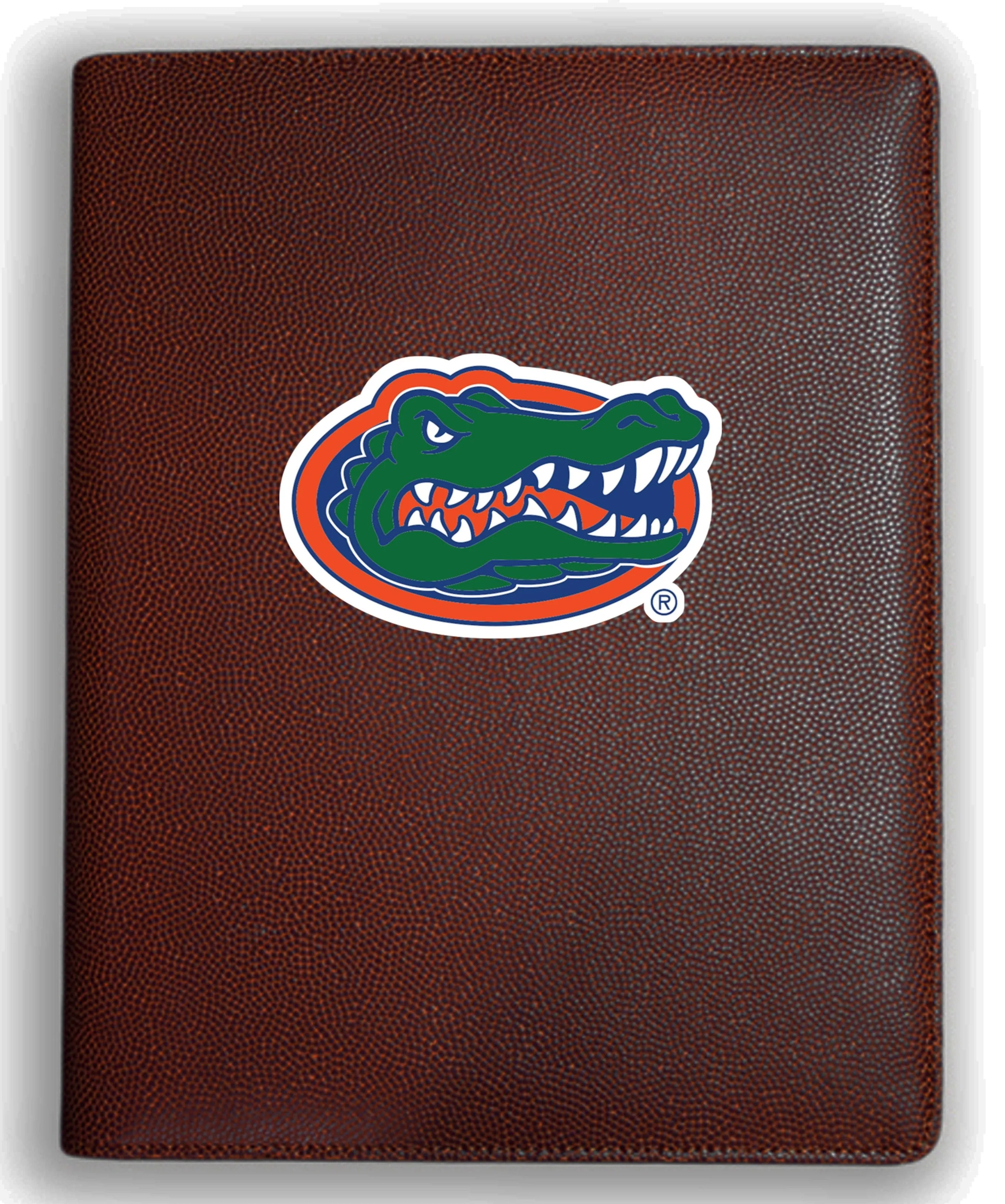 Florida Gators Football Portfolio