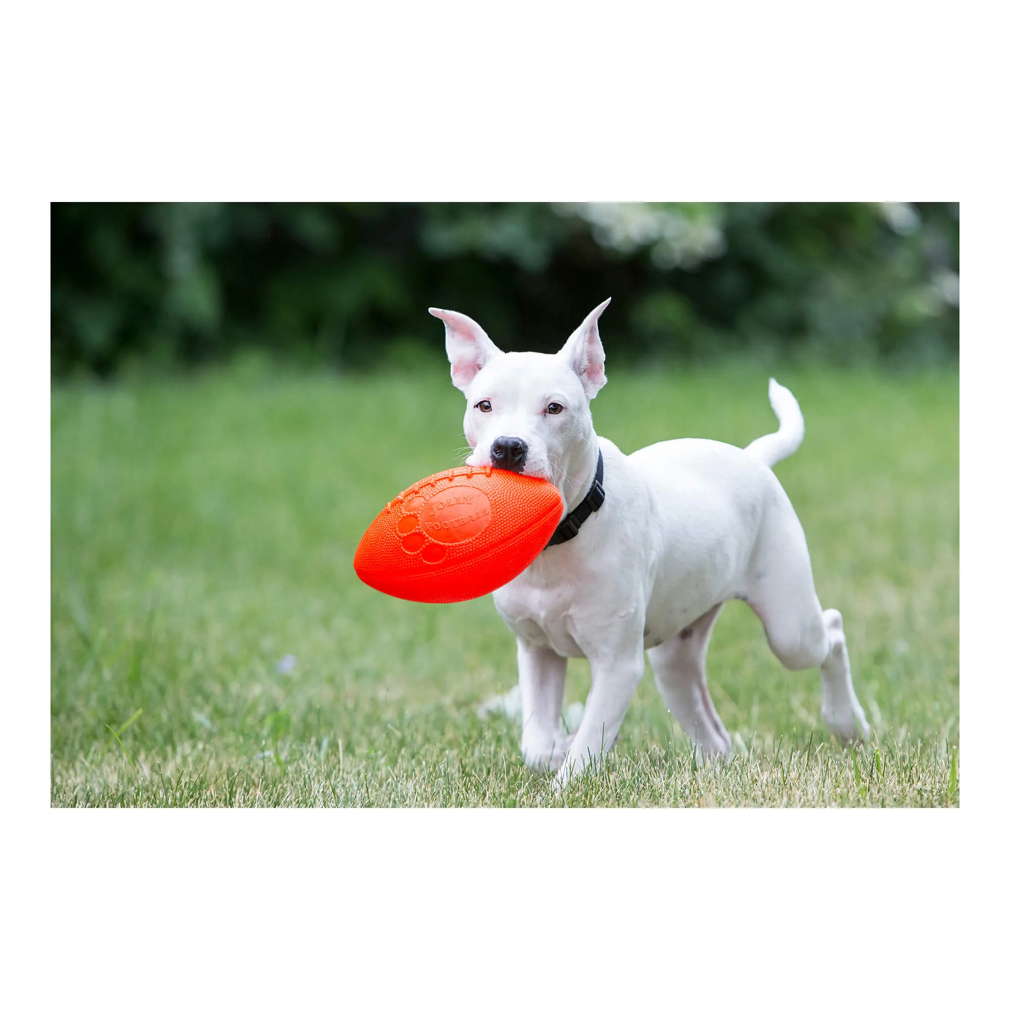 Jolly Football, 8"
