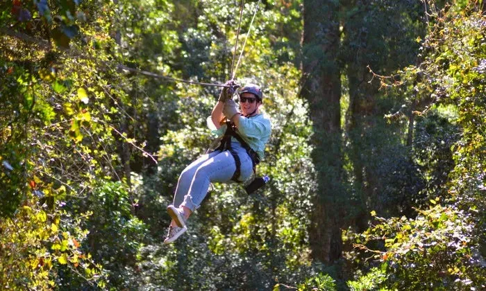 Karkloof Canopy Zip-Line Tour Experience