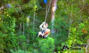 Karkloof Canopy Zip-Line Tour Experience