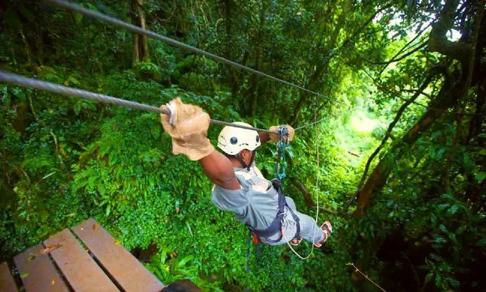 Karkloof Canopy Zip-Line Tour Experience