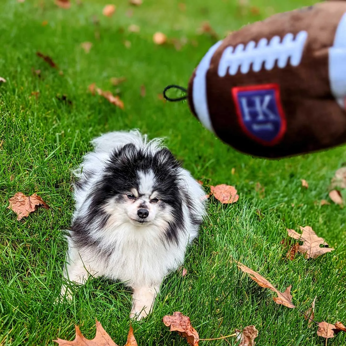 Lulubelles Pigskin Football Plush Dog Toy