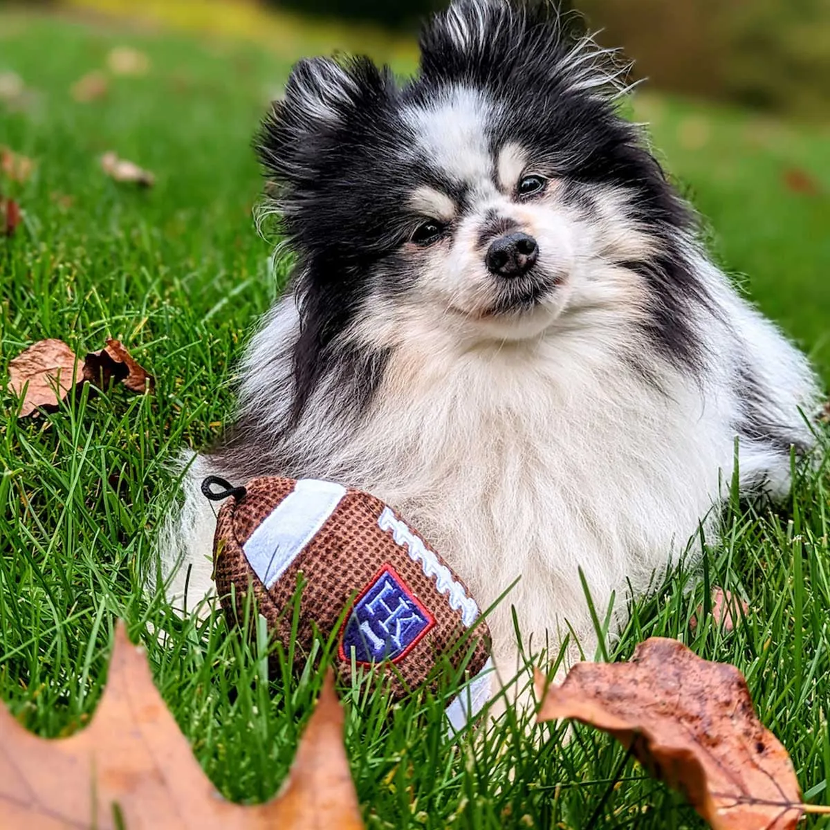 Lulubelles Pigskin Football Plush Dog Toy