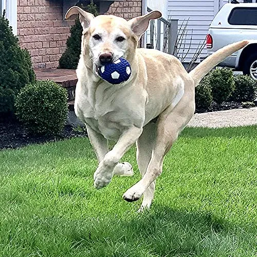 QUMY Soft Latex Pet Ball Squeak Toys